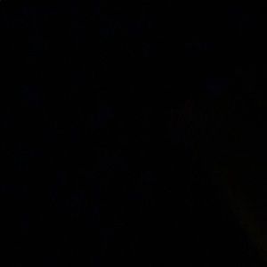 Meet your Posher, Luis